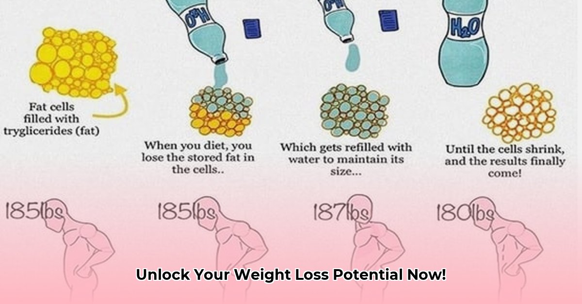 4-stages-of-weight-loss